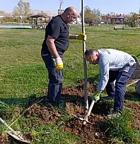 15 Temmuz Parkı'nda fidan dikim çalışması