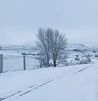 Ağrı beyaza büründü