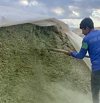 Ağrı'da besiciler kış hazırlıklarına başladı