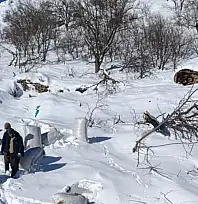 Ahırların üzerine çığ düştü