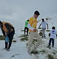 Aktivistler Süphan Dağı eteğine yem bıraktı