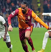 Aslan, Avrupa'da yara aldı