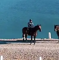 Atlı jandarma timleri Zernek Barajı'nda devriyede