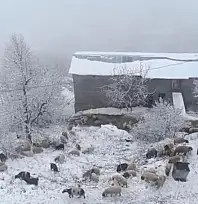 Bahçesaray'da kar yağışı