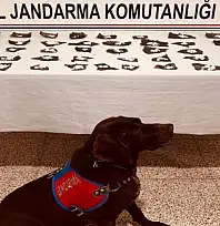 Başkale'de 171 gram bonzai ele geçirildi
