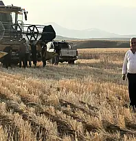 Başkale'de buğday hasadı başladı