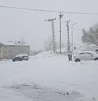 Başkale'de kar yağışı