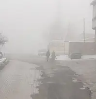 Başkale'de sis etkili oldu