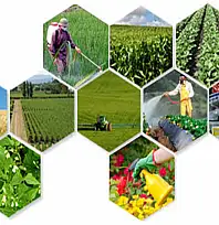 Bitki koruma ürünlerinde yetkisiz satışa geçit yok