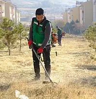 Bostaniçi Mahallesi'nde yeşil alan temizliği ve budama çalışması