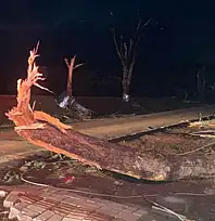 Brezilya'nın Parana eyaletini kasırga vurdu: 6 ölü, 437 yaralı