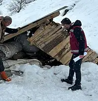Çatak'ta kar yağışı sonrası tarımsal hasar kayıt altına alındı