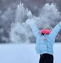Çatak ve Bahçesaray'da eğitime 1 gün ara verildi