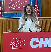 CHP Van İl Kadın Kolları Başkanı Aslan: Medeni Kanun eşitliğin teminatıdır
