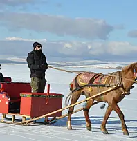 Çıldır Gölü'nde kış masalı