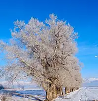 Doğu yine buz kesti