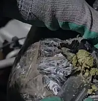 Doğubayazıt'ta 3 kilo 154 gram skunk ele geçirildi