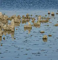 Erçek Gölü'nde su çekilince mikrobiyalitler ortaya çıktı