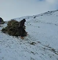 Erciş'te asırlık kış mesaisi