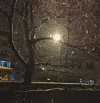 Erciş'te kar yağışı