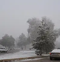 Erzurum'da araç sayısı 150 bini geçti