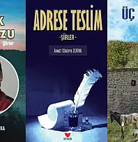 Gazetemiz yazarı Ahmet Süreyya Durna'nın üç eseri yeniden okurla buluştu