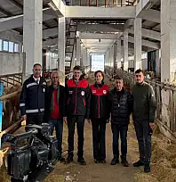 Gebe düve desteğiyle başladı, sürüsünü 83 büyükbaşa çıkardı