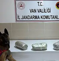 Gevaş'ta esrar ele geçirildi