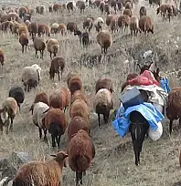 Göçerlerin zorlu yolculuğu başladı