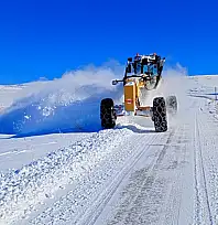 Gürpınar'da karla mücadele çalışmaları sürüyor