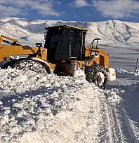 Gürpınar'da karla mücadele çalışmaları sürüyor