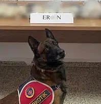 Hakkari'de eroin ele geçirildi