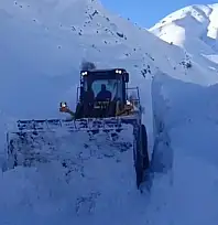 Hakkari'de kar esareti: 357 yol ulaşıma kapandı