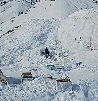 Hakkari-Van karayolunda 32 arı kovanı çığ altında kaldı