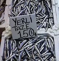 Hamsi bu defa şaşırttı: Tezgahlar yeniden şenlendi
