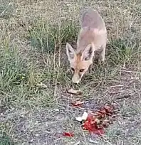 İlhan öğretmenden anlamlı davranış