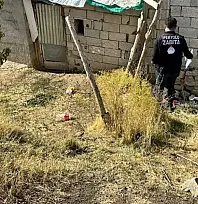 İpekyolu ahırlardan temizleniyor