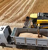 İthalat açıklaması bile arpanın ateşini düşürmedi