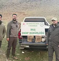 Kafes avcılığı yapan şahıs suçüstü yakalandı