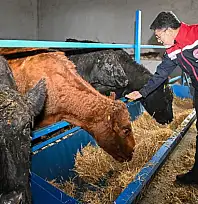 Kırsalda Bereket Hayvancılığa Destek Projesi, 2028 yılına kadar sürecek
