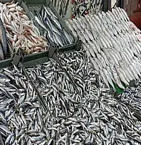 Kış sofralarının vazgeçilmezi balık lüks oldu