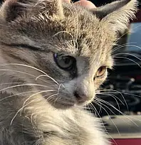 'Kontağı çevirmeden kaputa vurun' uyarısı