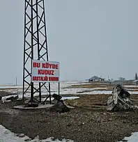 Kuduz alarmı: Bir köy karantinaya alındı