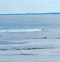 Kuş cenneti Arin Gölü kısmen dondu