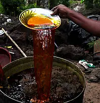 Malezya ile ABD arasında palm yağı savaşı