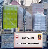 Muş'ta 1 milyon 820 bin TL'lik sahte ürün ele geçirildi
