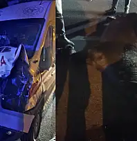 Muş'tan Van'a hasta taşıyan ambulans mandaya çarptı