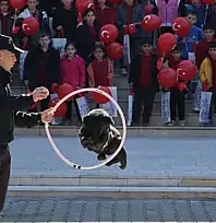 Pazaryeri'nde minik öğrenciler jandarma etkinlikleri ve köpek gösterileriyle tanıştı