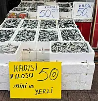 Rize'de hamsinin fiyatı sevenlerinin yüzünü güldürüyor