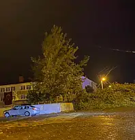 Rüzgarın kökünden söktüğü ağaç otomobilin üzerine devrildi